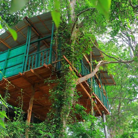 River Side Cabana Tissamaharama Dış mekan fotoğraf