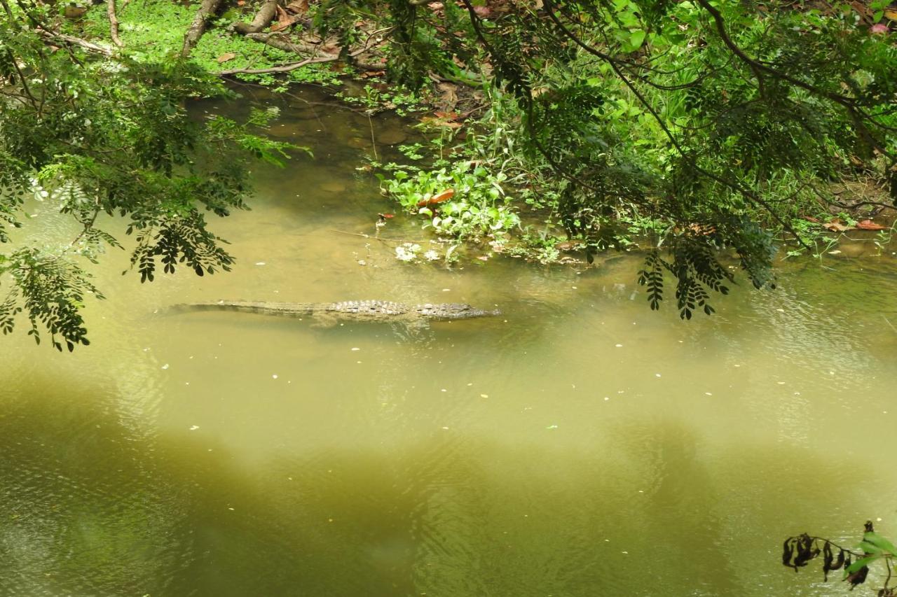 River Side Cabana Tissamaharama Dış mekan fotoğraf